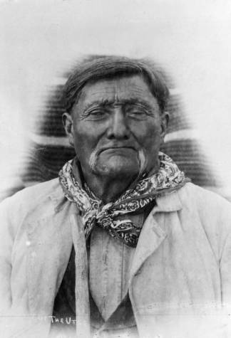 Chief Tabby